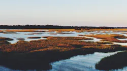 Folly Beach, SC. Folly Beach, SC.