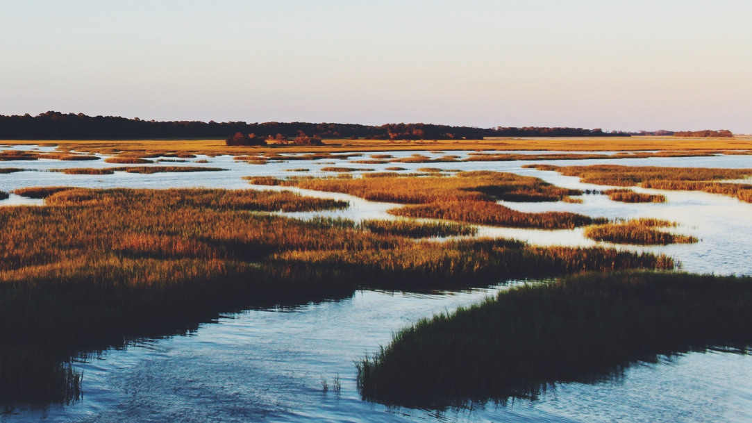 Bre Smith A Pi Djk Vs Y Unsplash 2 60b1168a5cc63