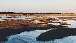 Bre Smith A Pi Djk Vs Y Unsplash 2 60b1168a5cc63 Bre Smith A Pi Djk Vs Y Unsplash 2 60b1168a5cc63