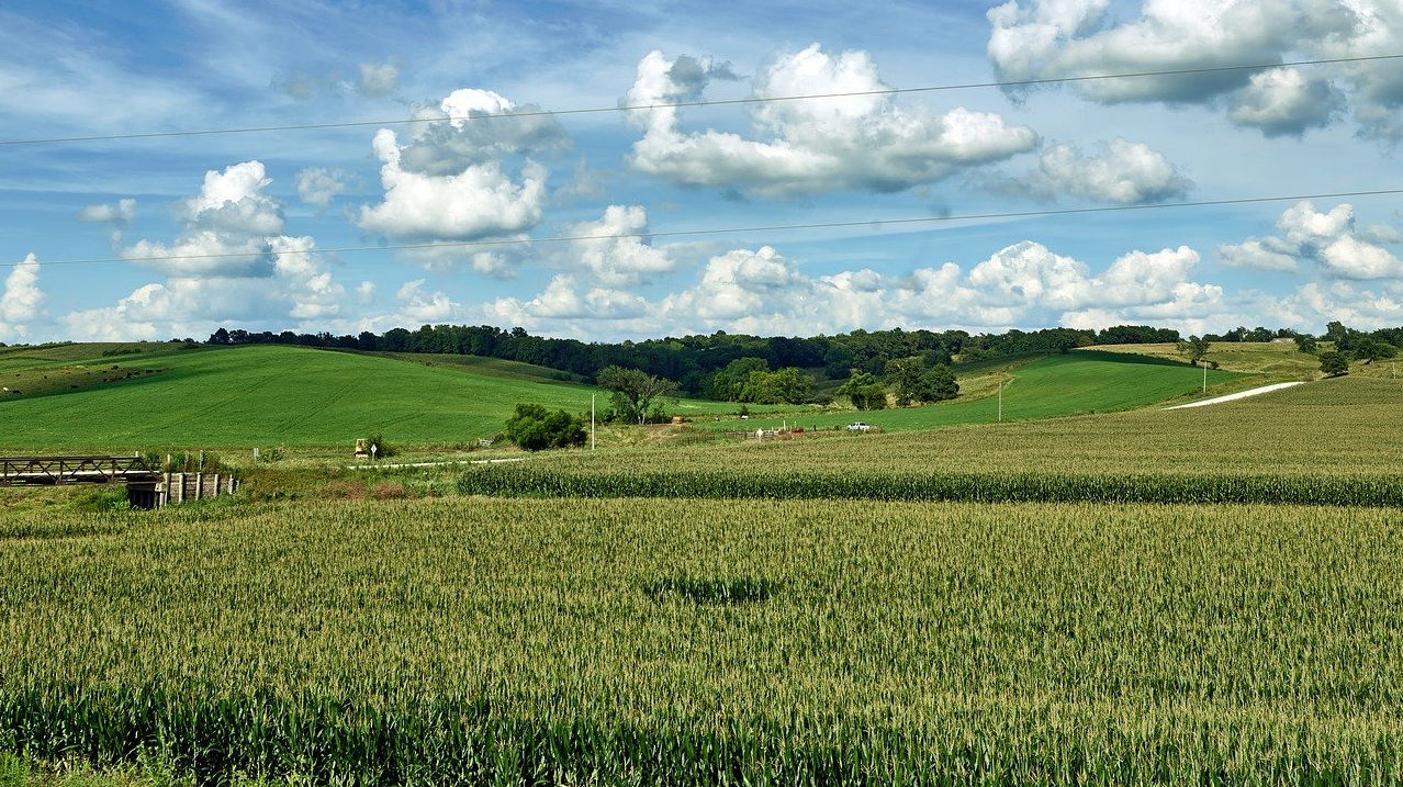 An unnamed field in Iowa.