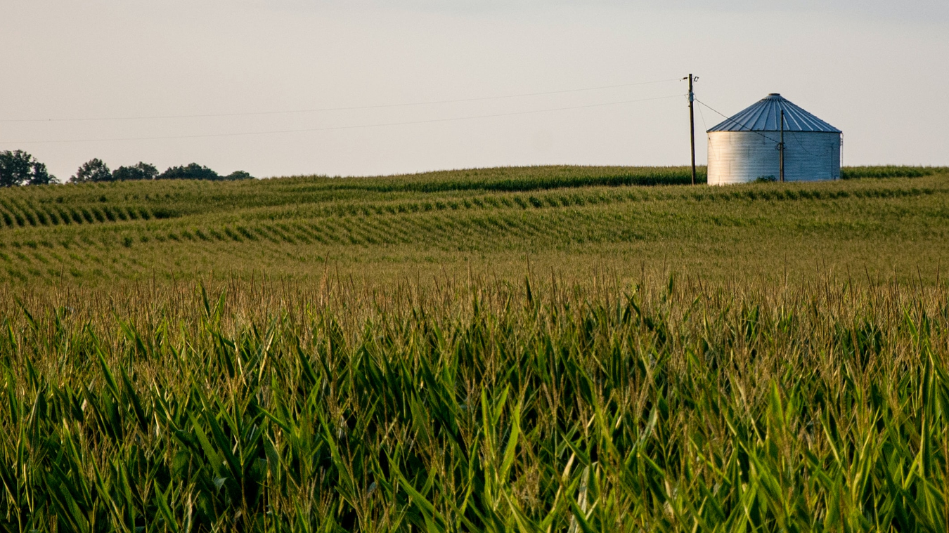 Joshua Michaels Cd1 Ct8n Dk Jk Unsplash 60ad02f5ce2cb