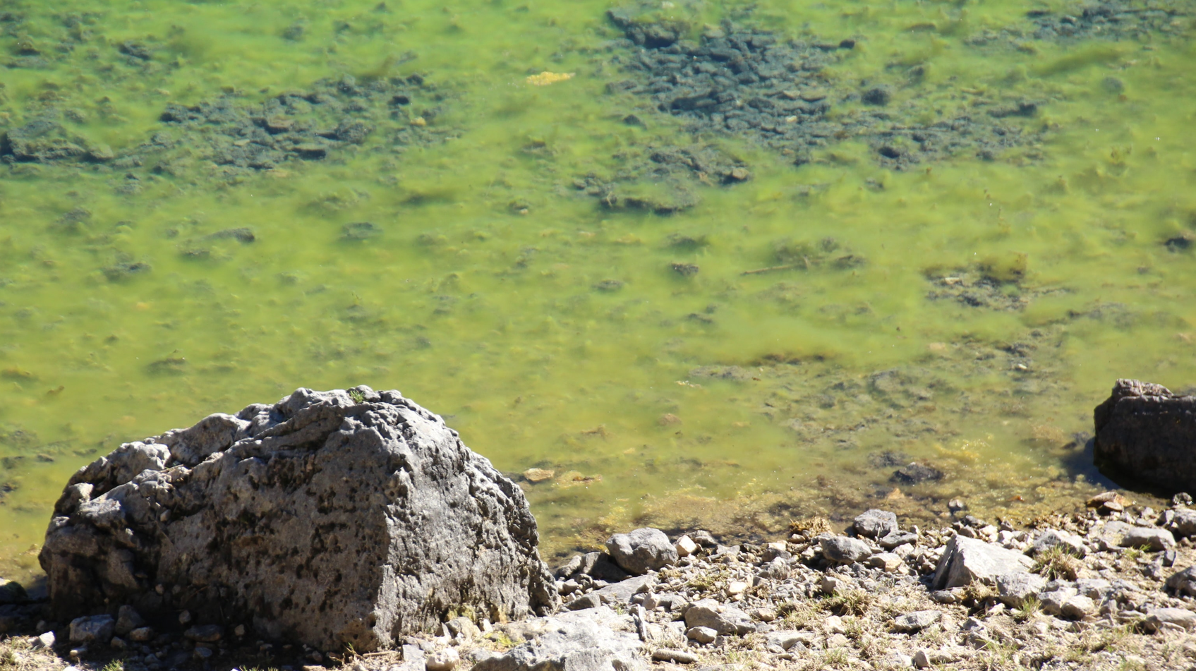 Ravit Sages Rp Aqjo1n Jjy Unsplash 60a3e3d6166bb