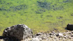 Ravit Sages Rp Aqjo1n Jjy Unsplash 60a3e3d6166bb Ravit Sages Rp Aqjo1n Jjy Unsplash 60a3e3d6166bb