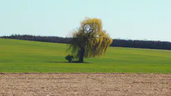 Ja Kubislav Eb Fg Mg Du C Bc Unsplash 60d2579b4bc7c