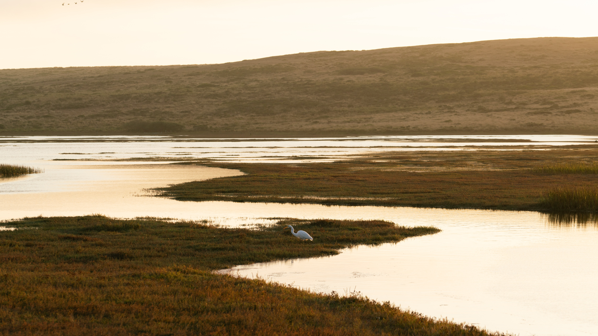 Mason Field J Iffw Ta Ub I Unsplash 60c39b01e60c8