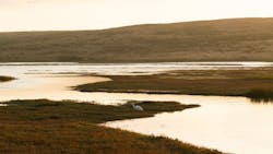 Mason Field J Iffw Ta Ub I Unsplash 60c39b01e60c8 Mason Field J Iffw Ta Ub I Unsplash 60c39b01e60c8