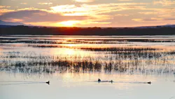 The sunset at Boque Del Apache Wildlife Refuge in San Antonio, Texas. The sunset at Boque Del Apache Wildlife Refuge in San Antonio, Texas.