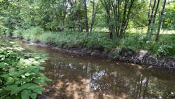 The banks of Midlothian Creek are eroded and overcome by invasive plants and runoff, causing flooding and pollution reaching the Cal-Sag Channel and even Lake Michigan during heavy rains. A grant from the Illinois Environmental Protection Agency and matching funds from the MWRD will improve conditions. The banks of Midlothian Creek are eroded and overcome by invasive plants and runoff, causing flooding and pollution reaching the Cal-Sag Channel and even Lake Michigan during heavy rains. A grant from the Illinois Environmental Protection Agency and matching funds from the MWRD will improve conditions.