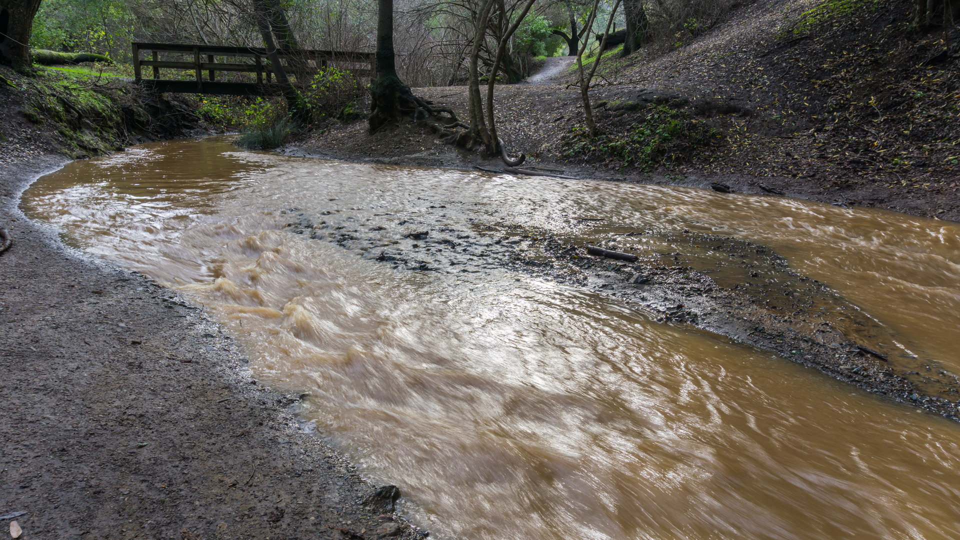 PFAS is ubiquitous in urban stormwater and has been shown to be present at concentrations that are occasionally to often above pending WQS.