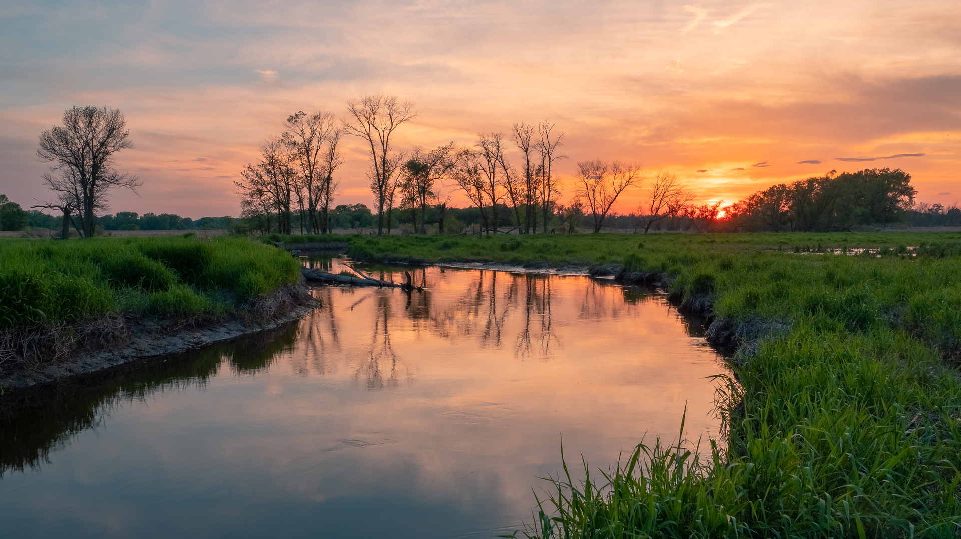 A wetland in Brookfield, WI. The new paper found that such wetlands may be the most cost-effective approach to nutrient and sediment control.