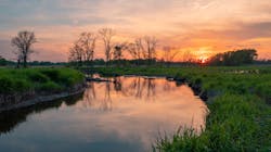 A wetland in Brookfield, WI. The new paper found that such wetlands may be the most cost-effective approach to nutrient and sediment control. A wetland in Brookfield, WI. The new paper found that such wetlands may be the most cost-effective approach to nutrient and sediment control.
