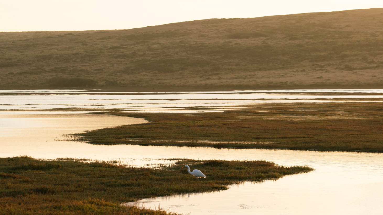 Mason Field J Iffw Ta Ub I Unsplash 60e5a60158230