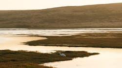 Mason Field J Iffw Ta Ub I Unsplash 60e5a60158230 Mason Field J Iffw Ta Ub I Unsplash 60e5a60158230