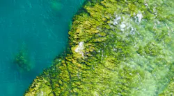 Selina Bubendorfer G Yidxnyys H0 Unsplash