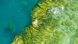 Selina Bubendorfer G Yidxnyys H0 Unsplash 60edab9add5e2 Selina Bubendorfer G Yidxnyys H0 Unsplash 60edab9add5e2