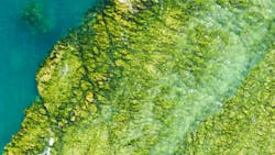 Selina Bubendorfer G Yidxnyys H0 Unsplash 1 610048f1ea4a0 Selina Bubendorfer G Yidxnyys H0 Unsplash 1 610048f1ea4a0