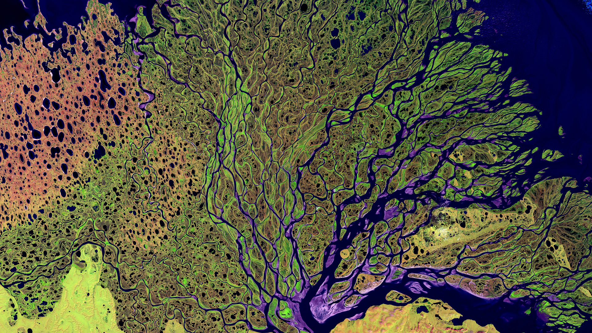 The unurbanized Lena River Delta in Siberia.