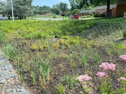 A large sand filter at Phyllis William Elementary School. Student involvement in school-based BMPs was an essential part of the CWP. A large sand filter at Phyllis William Elementary School. Student involvement in school-based BMPs was an essential part of the CWP.