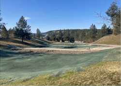 Once vegetation is fully established, the temporary plug will be removed, diverting all stormwater from the 210-acre urban watershed into the swale. Once vegetation is fully established, the temporary plug will be removed, diverting all stormwater from the 210-acre urban watershed into the swale.