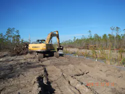 Working with the Florida Forest Service, the South Florida Water Management District began a series of prescribed fires throughout December 2016 and into January 2017. The effort cut 17 miles of trees and burned the remains, in the effort to restore the natural hydrology of the area.