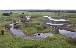 An aerial shot of the Kissimmee River Restoration Project's Progress.