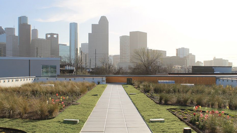 An example of Green Stormwater Infrastructure pictured on the roof of Carnegie Vanguard High School.