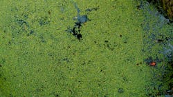 Jordan Whitfield Vph R T4 Bwgw Unsplash 6092ac53bc2e7 611a91d0c9ea0 Jordan Whitfield Vph R T4 Bwgw Unsplash 6092ac53bc2e7 611a91d0c9ea0