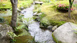 Keren Fedida Sxdnznu F Rgk Unsplash 612e3b570c7b8