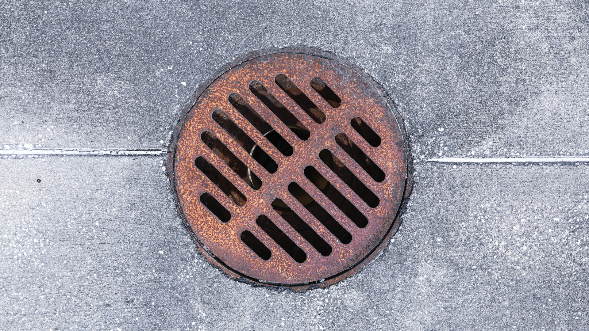 Mick Haupt K0y4 By 8 Fn E Unsplash 6124e41ee15b4