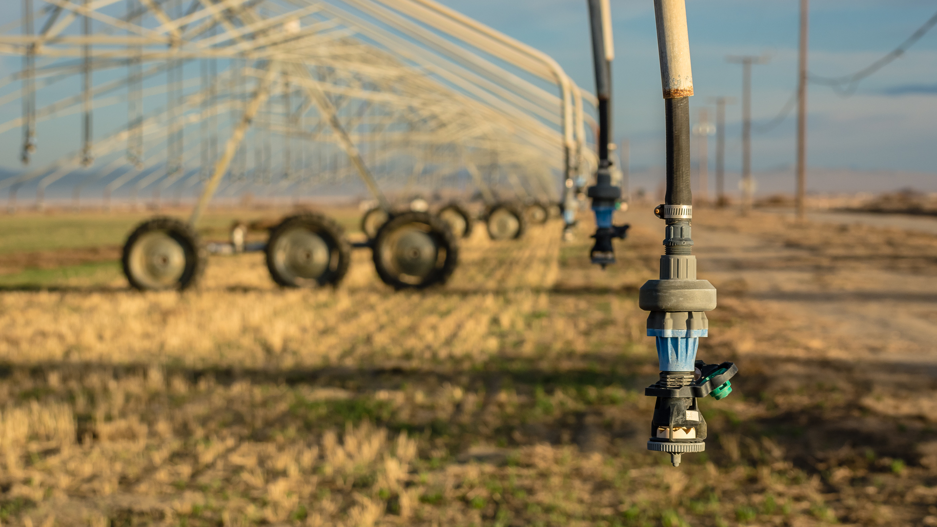 A center-pivot irrigation system.