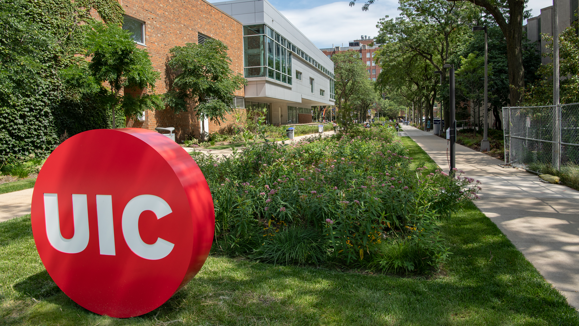 Arthington Mall Plaza at UIC stretches between Wolcott and Damen Avenues with 37,000 square feet of permeable pavement and rain gardens.