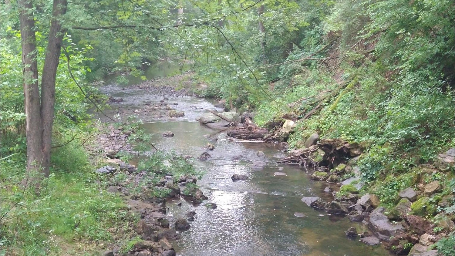 Pheasant Branch in Middleton, WI.