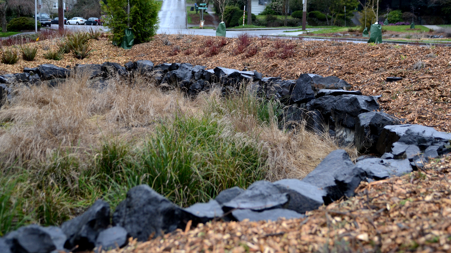 Green infrastructure installments &mdash; like this bioswale in Seattle, Wash. &mdash; can be funded by investors through a variety of municipal bonds, including the Environmental Impact Bond.