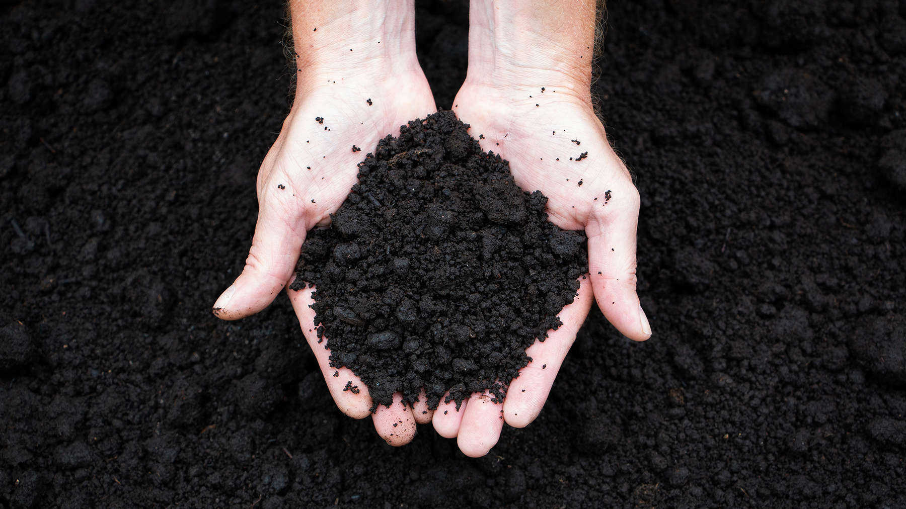 Both Reed-sedge and Sphagnum peat have their own unique natural sorption qualities that can help trap contaminants.