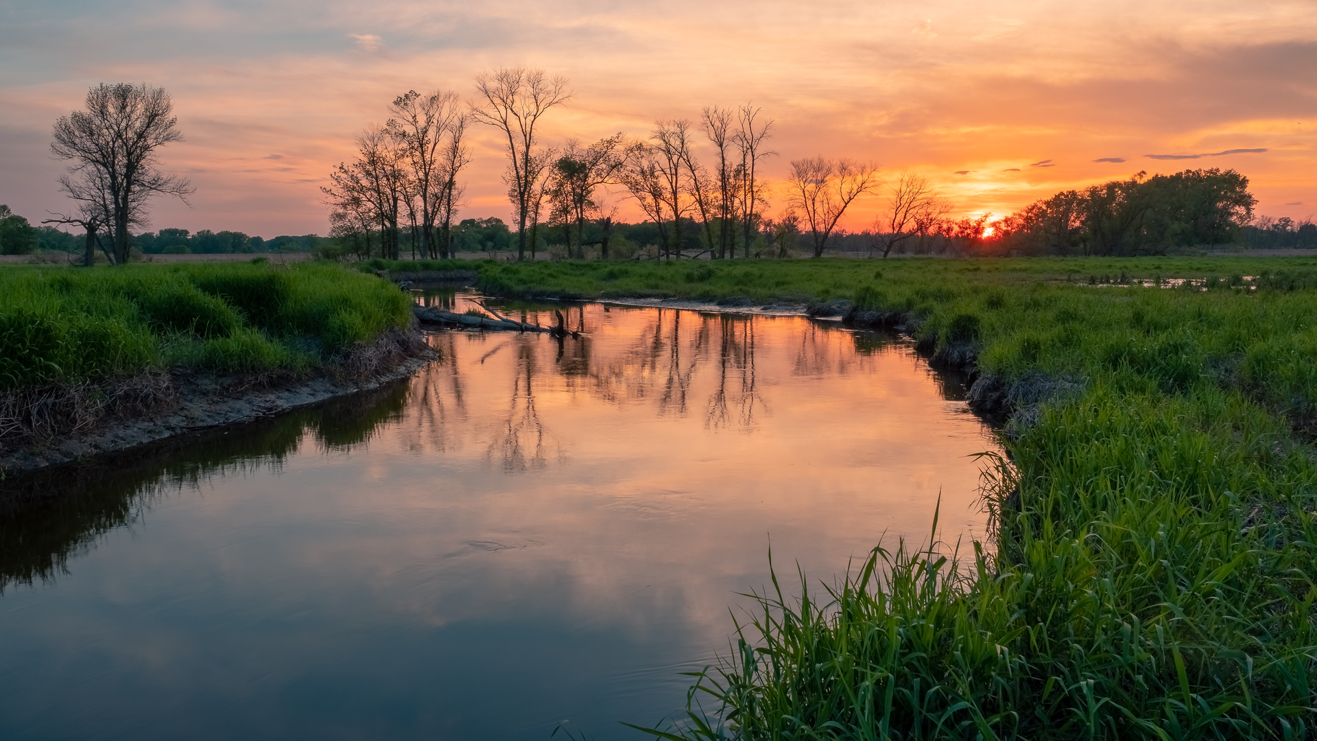 Dave Hoefler Hq Uyuc Zy8 Unsplash
