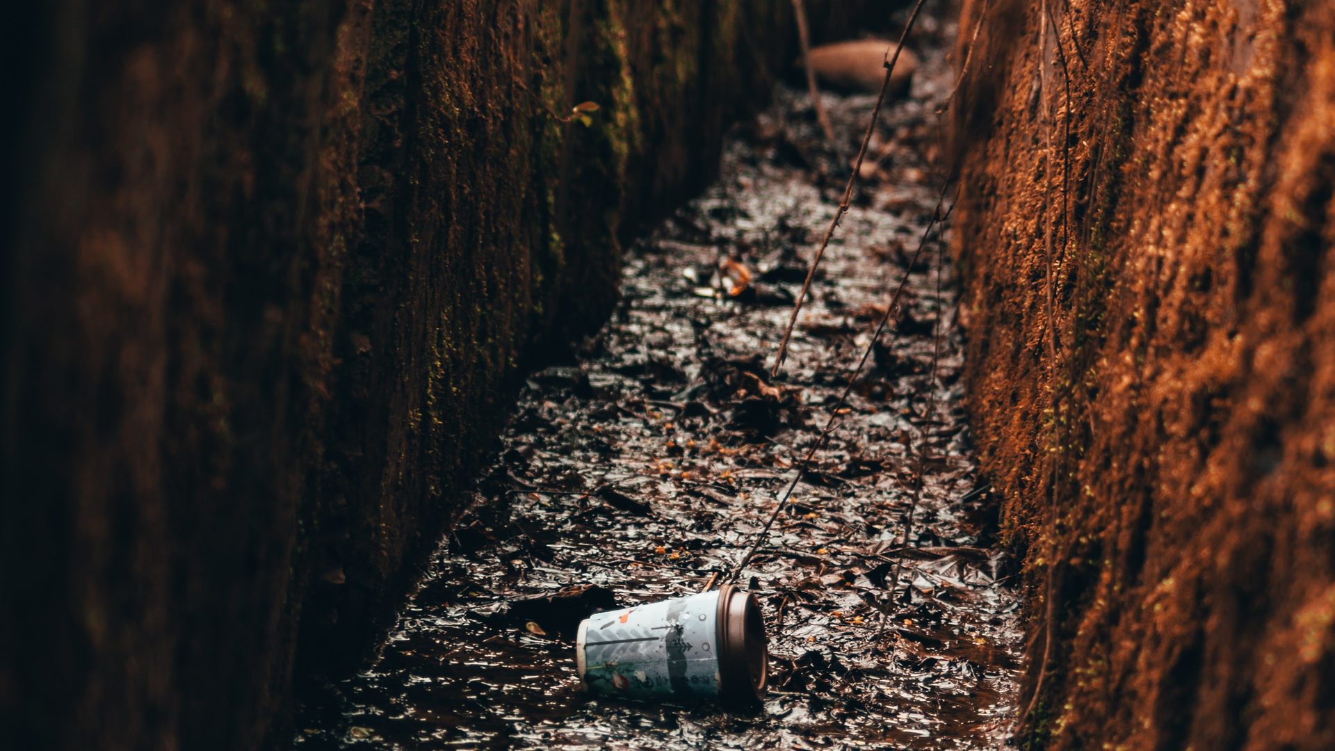 Linas Drulia R Ou Nu6h37 E Unsplash 615b107605cad