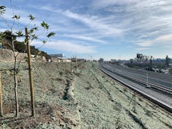 The work area after hydroseeding. The work area after hydroseeding.