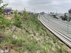 The work area today includes substantial vegetative coverage. The work area today includes substantial vegetative coverage.