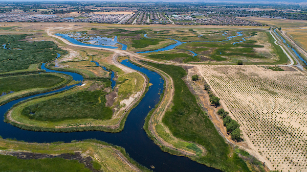 2021 04 29 Jw 0090 Dutch Slough 619e5d742ada7