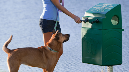 2111 S Wshow P05 Dogitpot 61814cb56cb1c