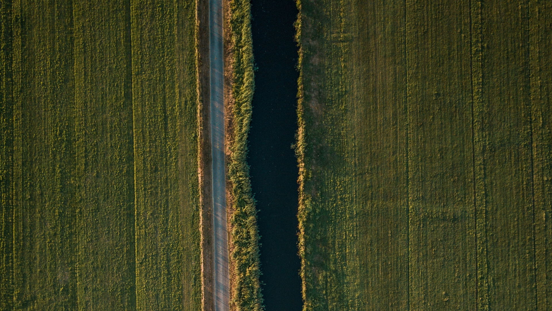 Ben Den Engelsen Y Ohp Glt Om M Unsplash 61a509bbc0fe9