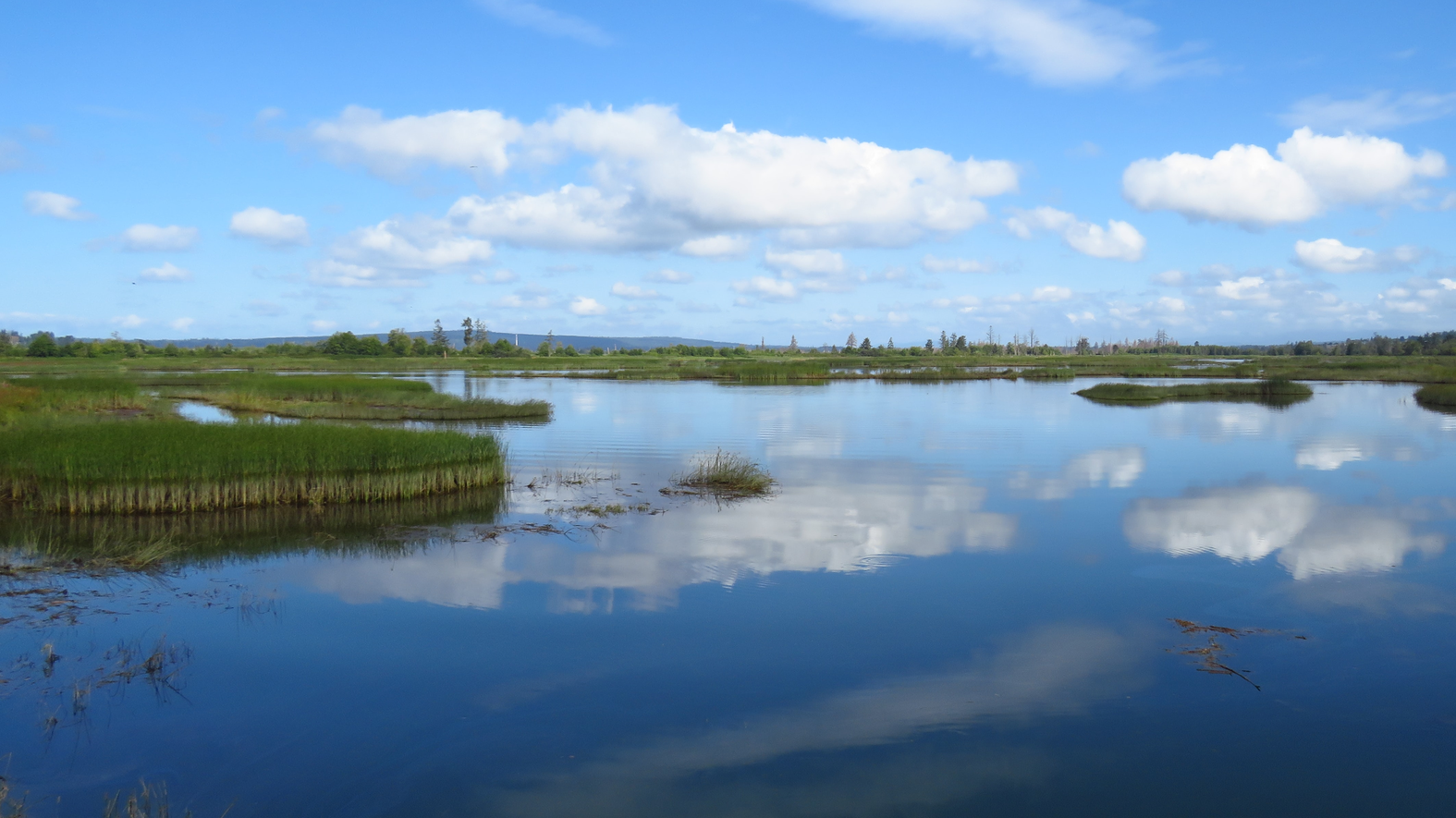 David Lang J C0z N We J3 Nu Unsplash 61855f12add46