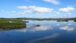 David Lang J C0z N We J3 Nu Unsplash 61855f12add46 David Lang J C0z N We J3 Nu Unsplash 61855f12add46