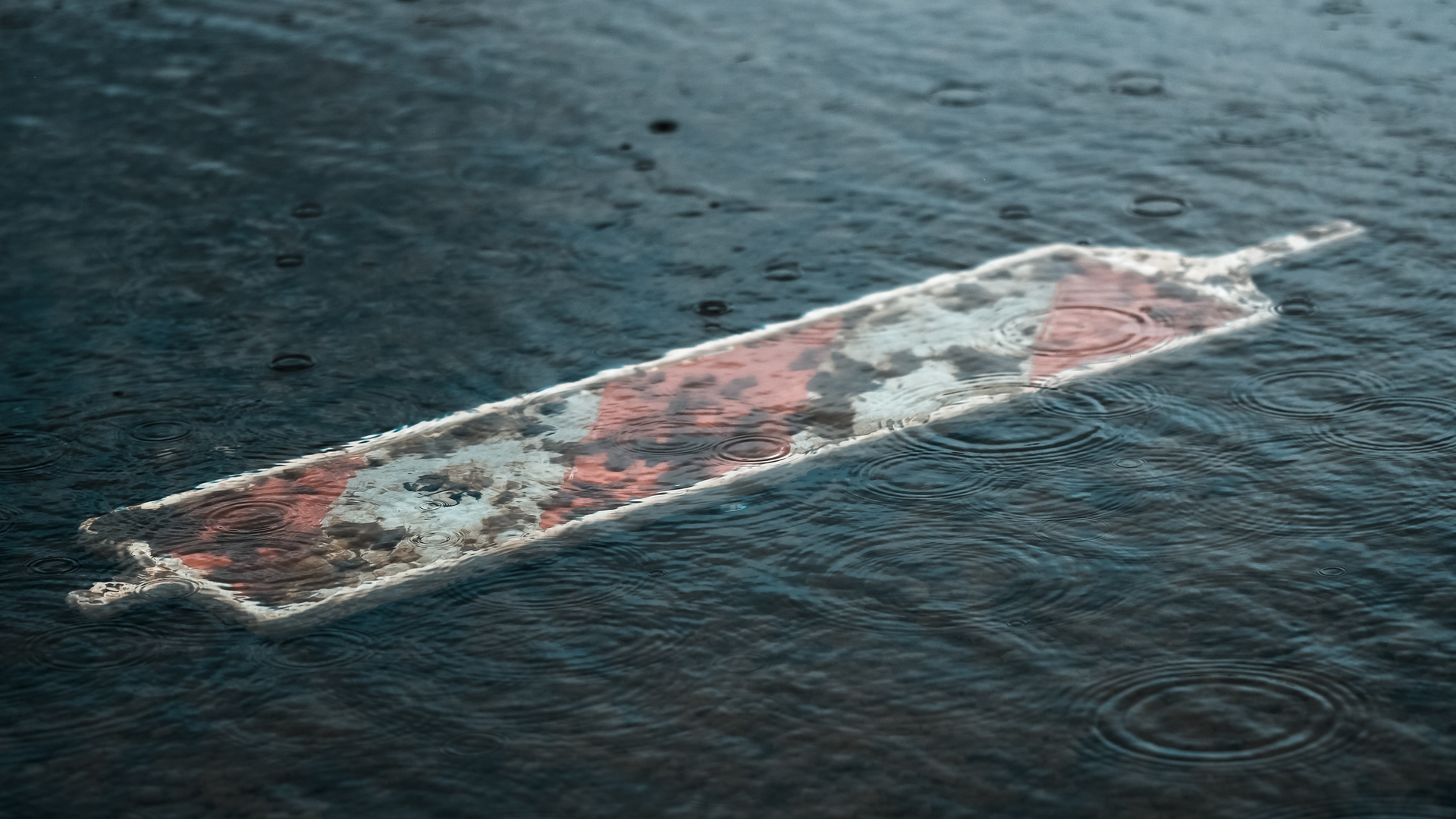 Kevin Mueller 8yg Yy5 Xn Bo Unsplash 6197c09b58010