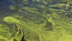 Liz Harrell Yvn5 Ub Ram Am Unsplash 1 6182ec3d55743 Liz Harrell Yvn5 Ub Ram Am Unsplash 1 6182ec3d55743