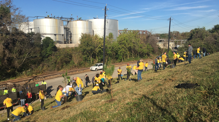 Houston Wilderness and corporate volunteers plant &ldquo;super trees&rdquo; at an industrial site along Peavy Drive, near Buffalo Bayou.