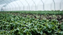 Daniel Fazio O K9 E Kfqv8 He Unsplash 61b76bce802ba Daniel Fazio O K9 E Kfqv8 He Unsplash 61b76bce802ba