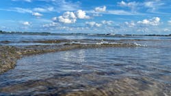 Taylor Noble D Rs04w8wl Ba Unsplash 61c1ebde292d7 Taylor Noble D Rs04w8wl Ba Unsplash 61c1ebde292d7