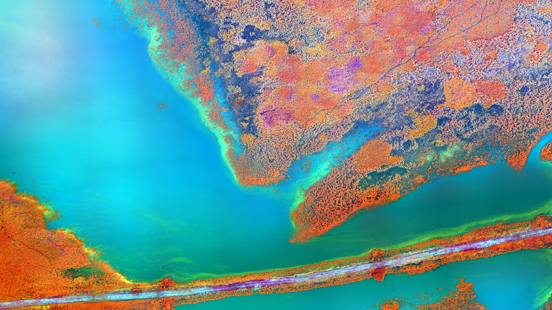 Algal blooms can be harmful to fragile wetland ecosystems. Predictive modeling can help to alleviate the threats HABs can cause to neighboring communities.