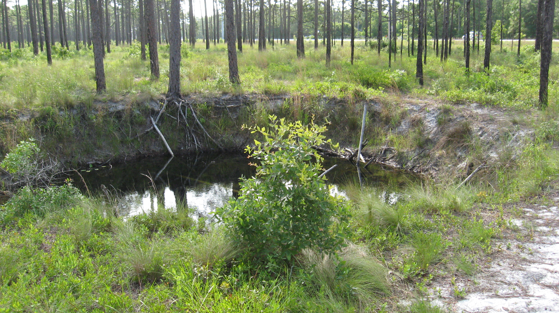 3688202336 Fe7ef753a3 O 61fd451f236dd